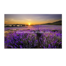 Sunset Landscape Image Print / Picture Canvas Print / Wall Decor Canvas Art